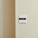 Aqara Display Switch V1